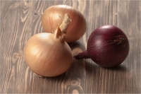 Onions’ Seasons, Layers, Colors and Flavors