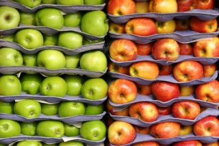 Crunching into Apple Season