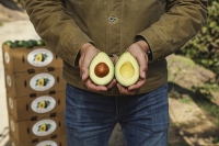 California Avocados: Grown Locally, Enjoyed Universally